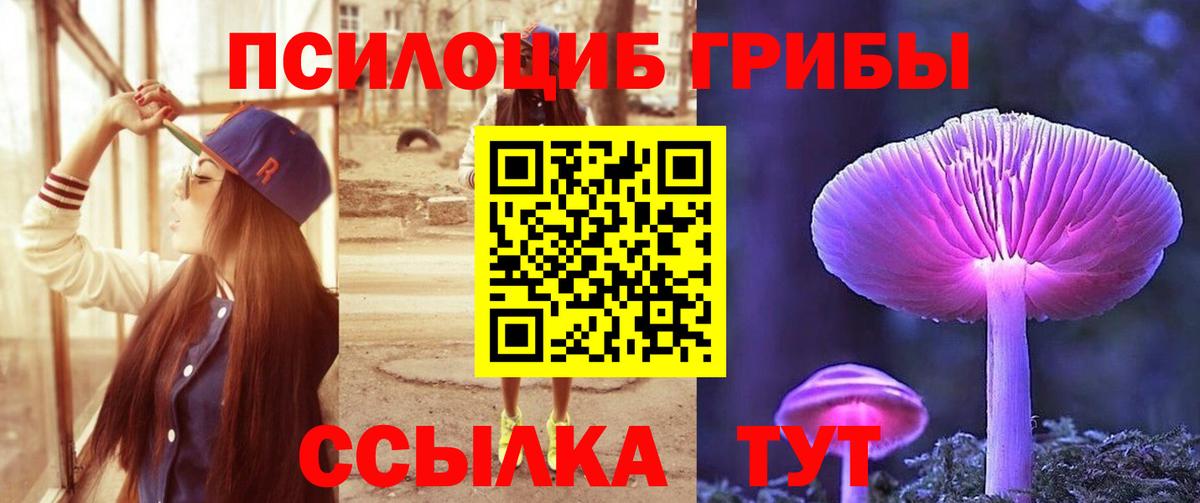 Псилоцибиновые грибы мицелий Киров
