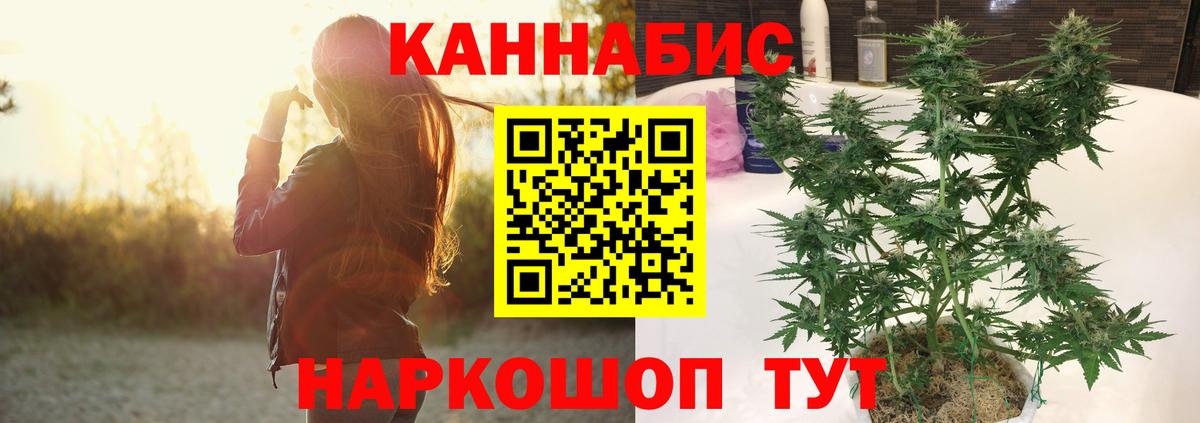 Киров  Бошки Шишки VHQ  Вход с VPN  МАРИХУАНА THC 21%  МАРИХУАНА Ganja 